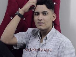 AndyMontenegro